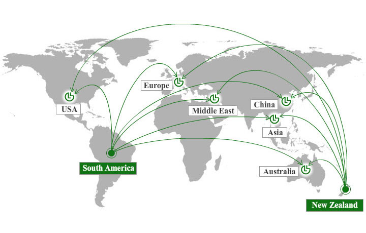 Your link in global lumber supply